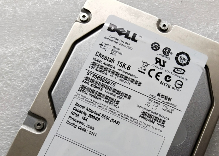 ST3300656SS 300G SAS Dell Hard Disk 15K 3.5 OYP778 R720 Long Lifetime