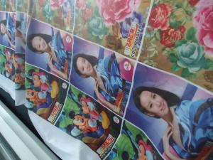 China 100% Polyester Windows Curtain / Flag Fabric 110-250 G / GSM wholesale