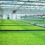 Vegetable Growing Tunnel Multi Span Greenhouse Plastic Film Material