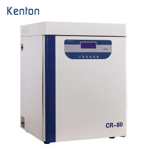 China Tissue Culture CO2 Incubator 110V 220V Carbon Dioxide Incubator CE For Medical Lab wholesale
