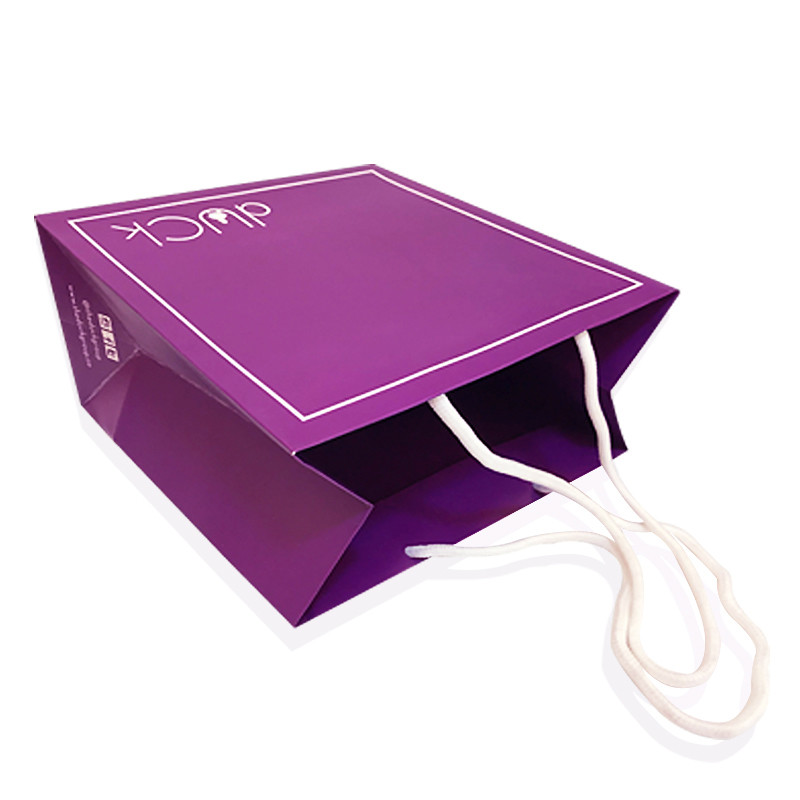Luxury Hot Stamping Kraft Paper Gift Bags With Handles PMS Printing