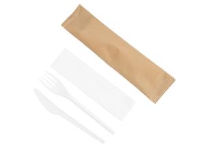 China DIN Certco BPA Free Disposable Compostable CPLA Cutlery wholesale