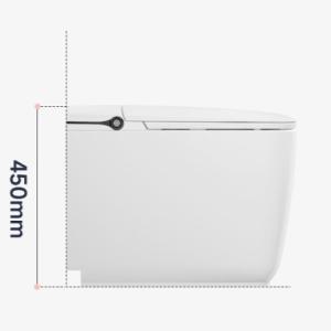 China Luxury One Piece Modern Smart Toilet Automatic Ceramic Intelligent Toilet wholesale