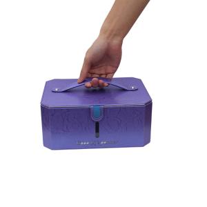 China Waterproof 5 Minutes 6 Pcs UV LED Sterilizer Bag wholesale