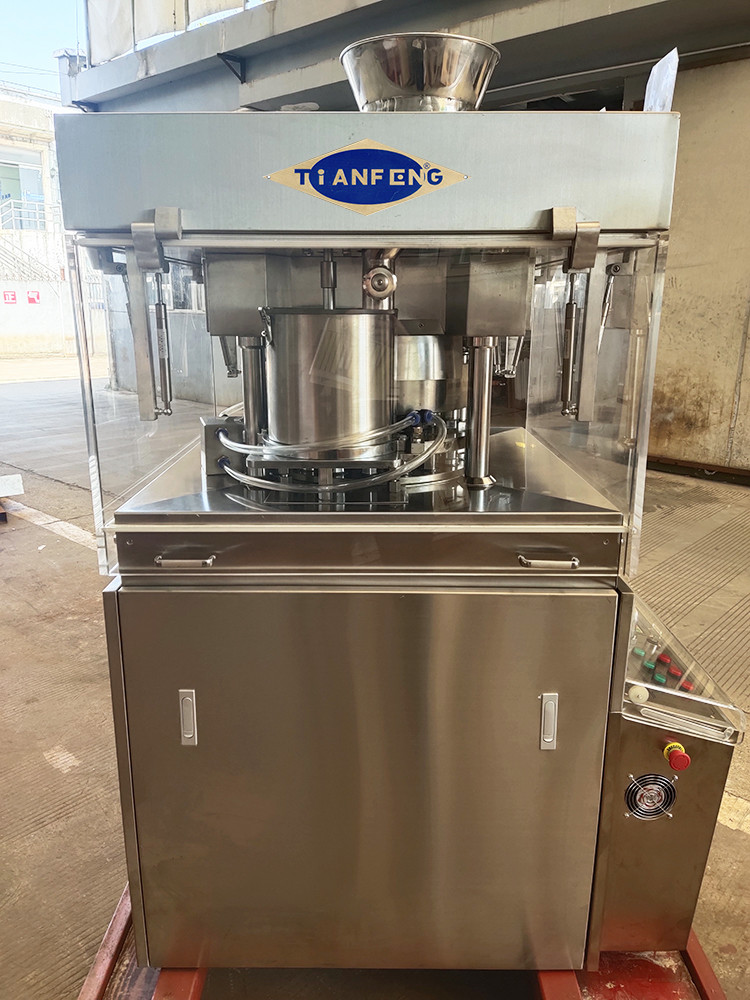 Powerful Worm Gear Drive Pharmaceutical Press Pill Machine For Salt Cube