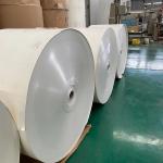 OEM Paper Tea Cup Raw Material 300gsm Kraft Paper Cup Blank