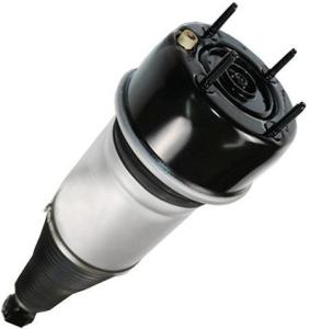 China C2C41343 Air Suspension Parts Air Suspension Strut wholesale