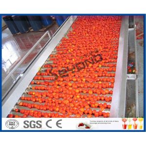 Tomato Sauce Making Machine Tomato Paste Production Line With Hot / Cold Break