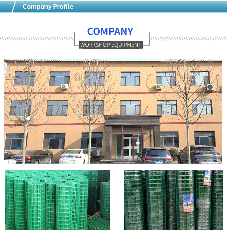 Long Lasting PVC Coated Iron Welded Wire Mesh For Rabbit Chicken Cage 3' 4' 16 Gauge