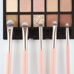 5pcs Eyeshadow Brush Set Private Logo Cruelty Free Classic Pink Wooden Handle