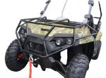125cc 150cc 200cc 4x4 UTVs Quad Bike Maximum Torque and Off-Road Adventure for