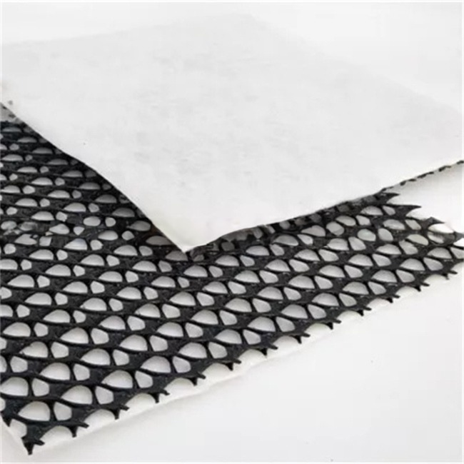Width 2m-4m Composite Geotextile Plastics Geonet Drainage Net for Project Solutions