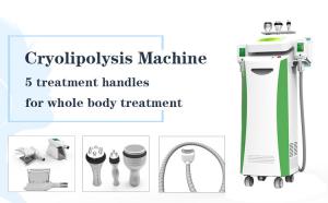 China 2 cryo heads 1800W 5 handles 10.4 inch cryolipolysis RF 40K cavitation slimming machine for beauty salon wholesale