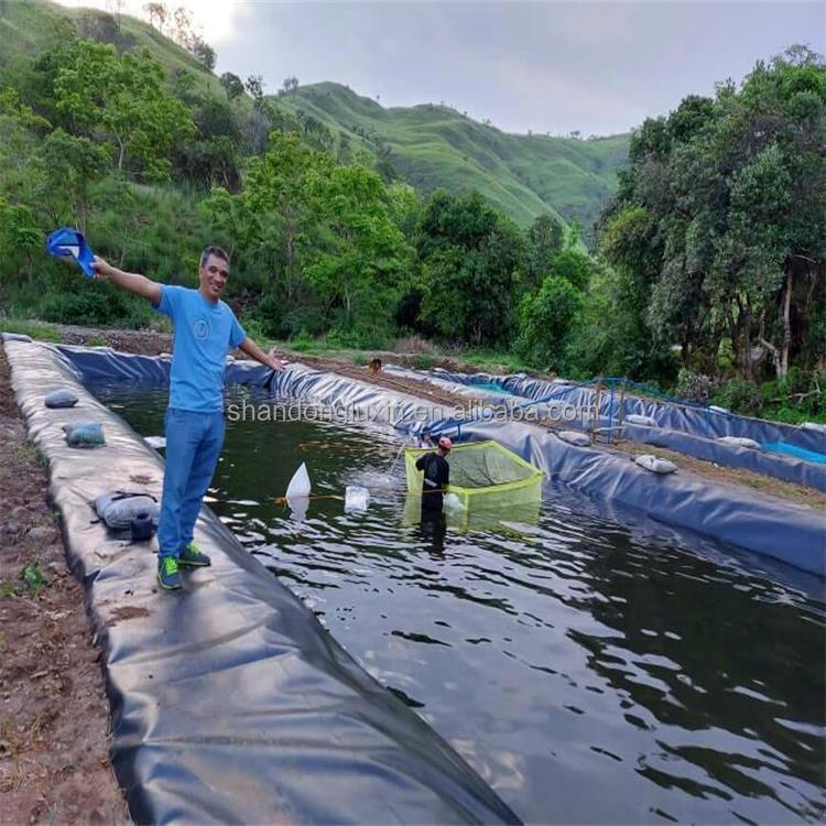 HDPE Dam Liner for Industrial Landfill Project Solution Capability Graphic Design Made