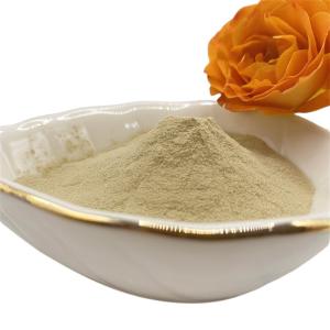 China Quick Release Amino Acid Powder for Enhanced Well being wholesale