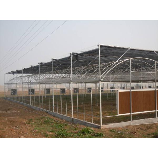 Long Use Time Chicken Farm High Water Resistant Outdoor Cooling System for Chicken House Evaporative Cooling Pads
