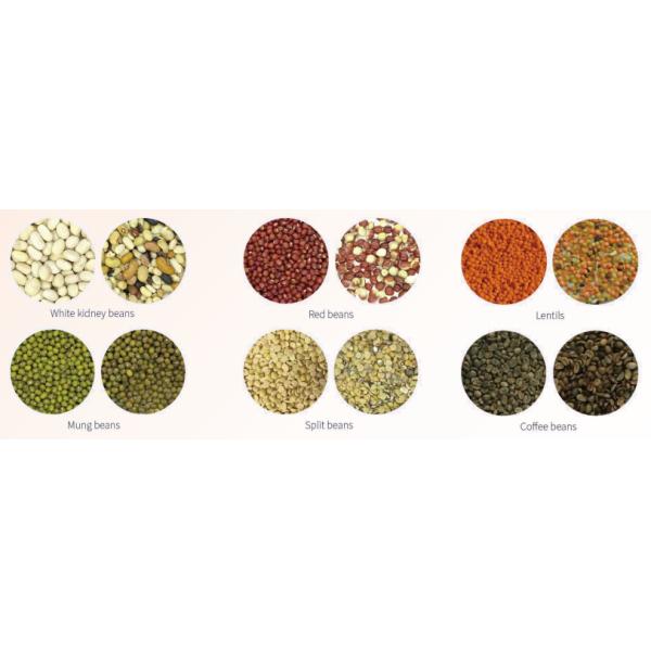 Single Chute 63 Ejectors CCD Color Sorter Multi Purpose