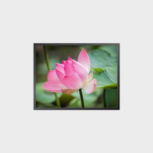 China 34.3 Inch Square LCD Panel 1856*1420 1500 Nits Display LCD Module wholesale
