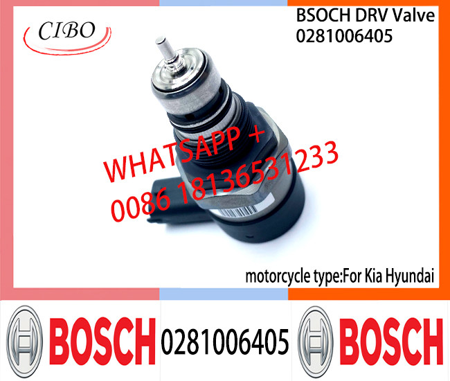 BOSCH DRV Valve 0281006405 Control Valve 0281006405 For Kia Hyundai