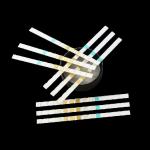 10 Parameters Urine Test Strips Consumables Medical Device Supplies