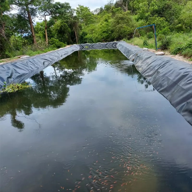 Double Smooth Surface HDPE Geomembrane Waterproof for Waterproofing Pe Pool Membrane