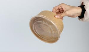 China 750ml Kraft Single Wall compostable large paper bowls with lid wholesale