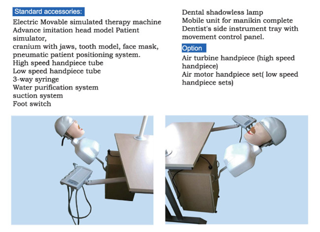 Education Teaching Dental Simulation Unit Dental Simulator For Student Exercises
