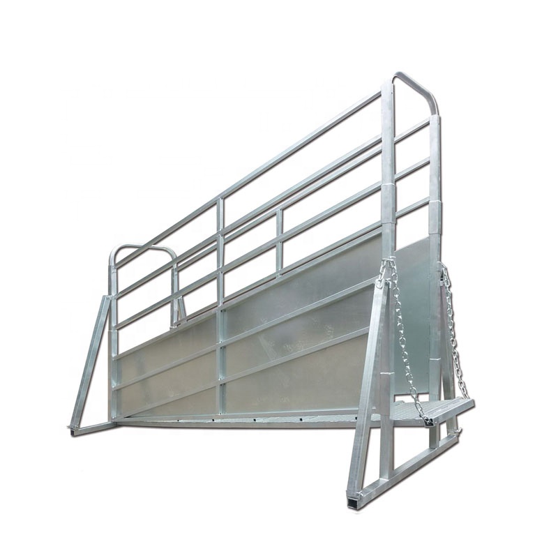 3250x3250x1700mm Australia Standard Hot Dippd Galvanized Standard Cattle Ramp