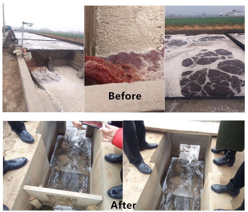 3000L/Hour Cattle Chicken Poultry Halal Meat Processing Mobile Wastewater Treatment Plant for Slaughterhouse