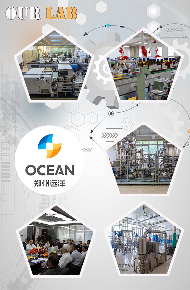 ISO9001 Edible Oil Extraction Plant Turnkey Crude Oil Extraction Plant