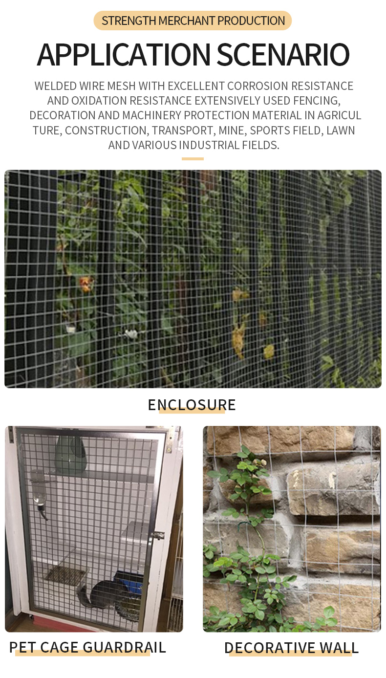Hot dip galvanized chain link fence nets rat the snake home grid chicken net wire mesh welded wire mesh fence