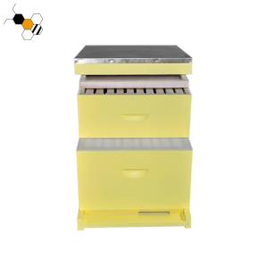 China Painted 10 Frames Bee Farm 2 Layers Langstroth Beehive wholesale