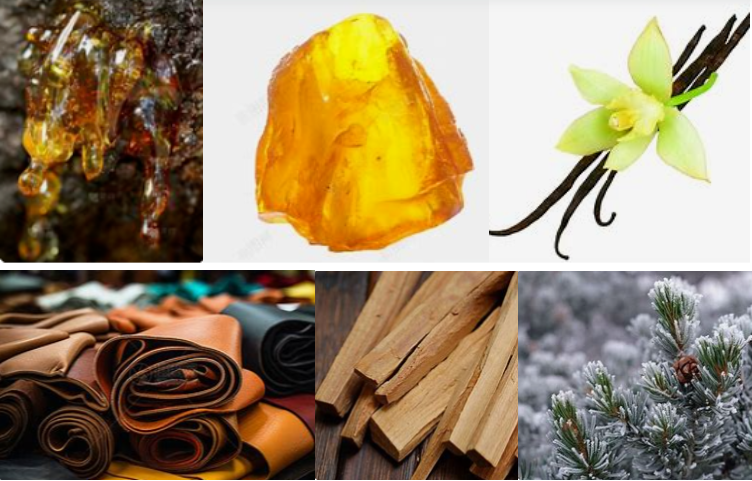 Free Sample Pure Intense Amber Essencee For Perfume Making