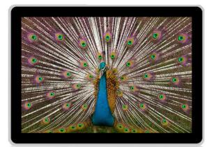 China Android System / Os Windows 46 Inch LCD Digital Display Signage Spanish Korea , 50HZ / 60HZ wholesale