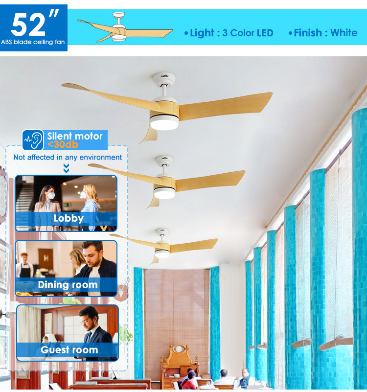 Customized ABS Blades LED Ceiling Fan with WiFi Tuya Control and Lighting Solutions