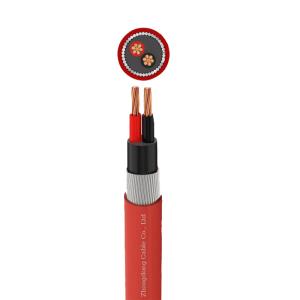 China Steel Wire Armoured Fire Resistant Cable 0.6 1.0kV Two Core Heat Proof Electrical Cable wholesale