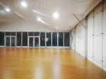 Luxury Custom Party Tents / Clear Auto Show Tent Easily Assembled
