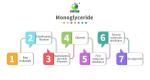 Purification of Monoglyceride