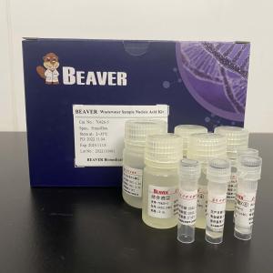 China OEM Beaver Beads Nucleic Acid Kit For Aviation Wastewater Testing wholesale