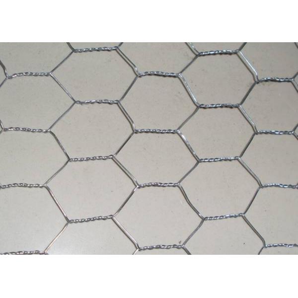 Hot Dipped Galvanized Poultry Wire 0.3mm-1.0mm Chicken Coop Wire Mesh