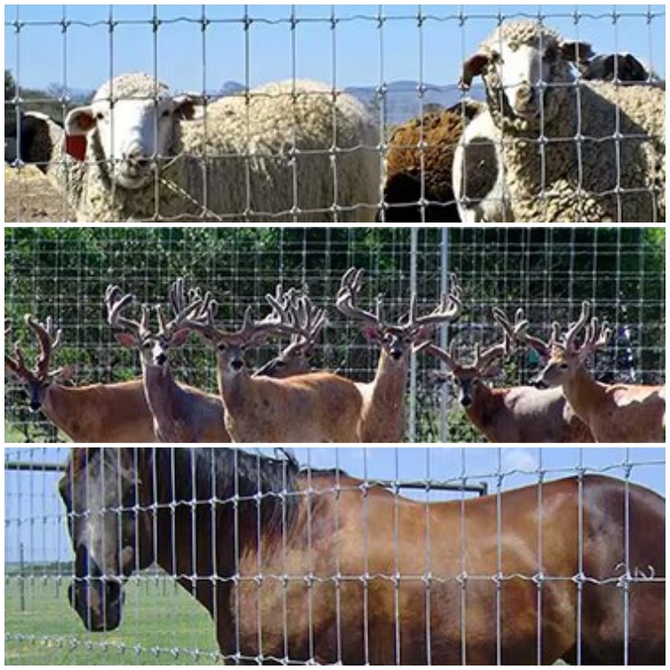 ECO FRIENDLY Wire Mesh Fence for Secure Pasture Enclosure Durable Woven Farm Fence Metal Type Iron
