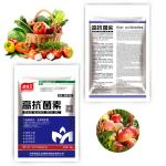Organic Soil Conditioner Blended Fertilizer Humic Amino Acid Shiny Ball