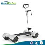 Removable Battery Scooter Golf Bag Carrier 10.5 Inch Tire 4 Hour Full Charging