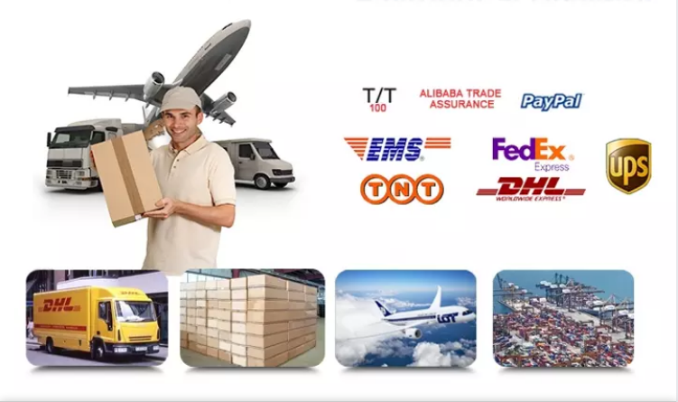 Wholesale Price for Newly Nintendos Switch Oled Console All Version Game Ready to Ship