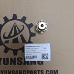Hyunsang Construction Machinery Parts Temperature Sensor 4326876 5461628