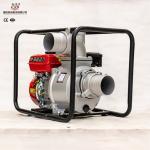 High Pressure 6 inch Agriculture Water Pumps 5HP Electric High Flow