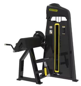 China Professional Strength Training Gym Equipment With High Quality wholesale