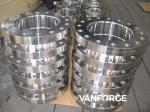 Raised Face Stainless Steel Weld Neck Flange 300LBS For Petrochemical