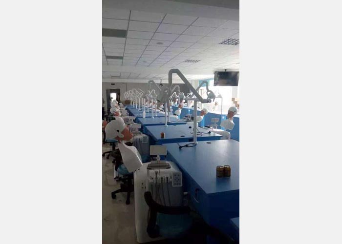 Dental Simulator For Student Exercises