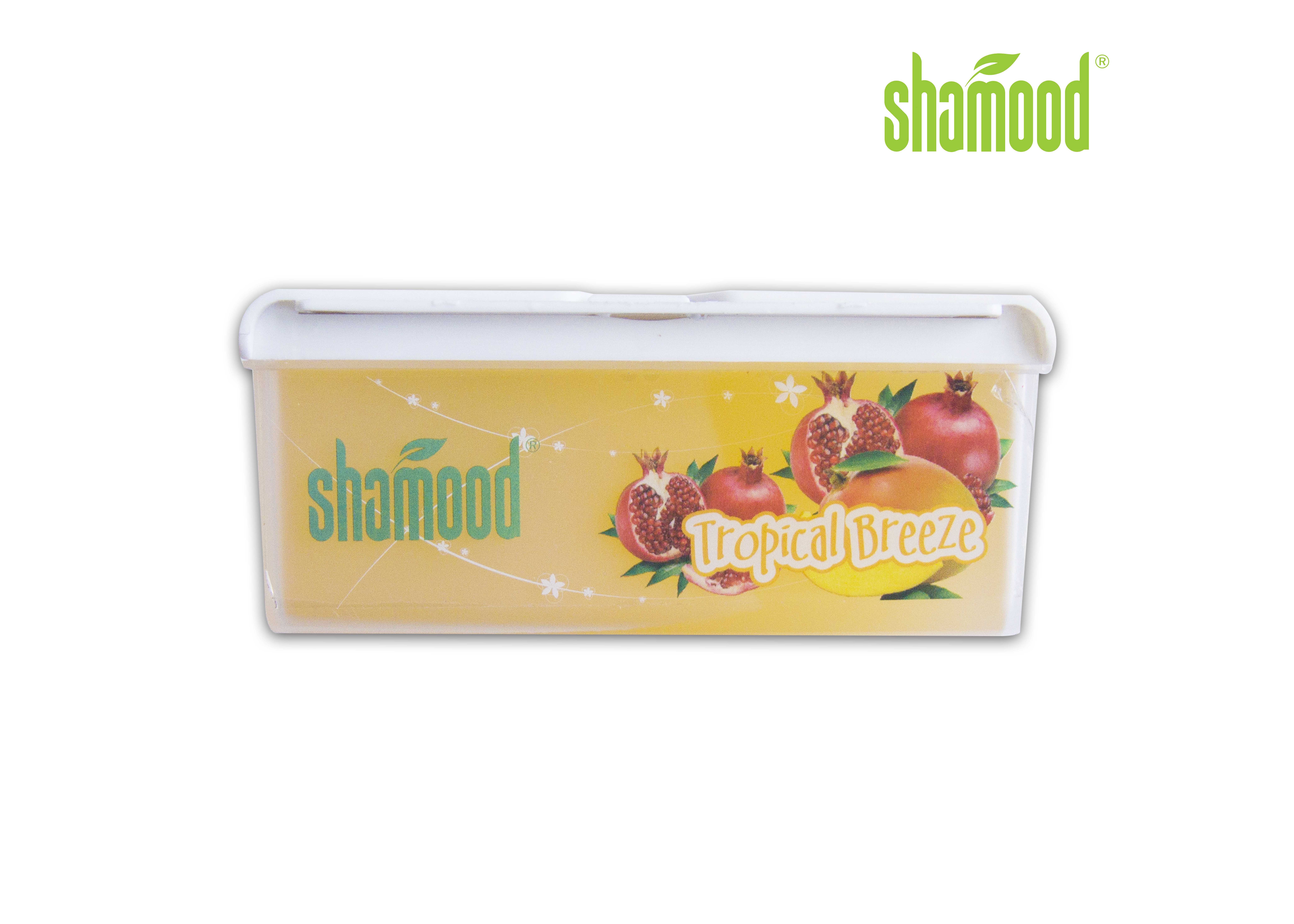 Dual Home Gel Household Air Freshener Pina Peach Mango Orange Vanilla Cappuccino 8 OZ